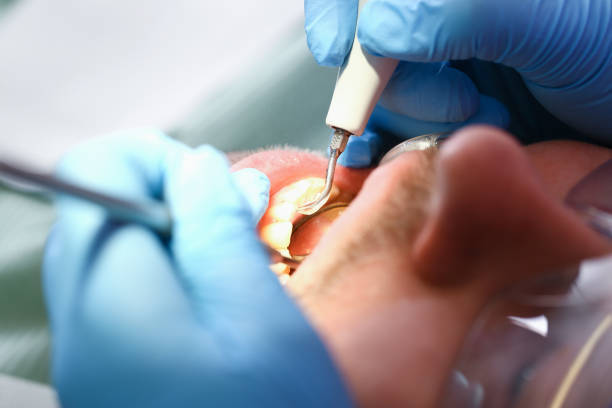 Best Emergency Dental Services for Seniors in La Feria, TX